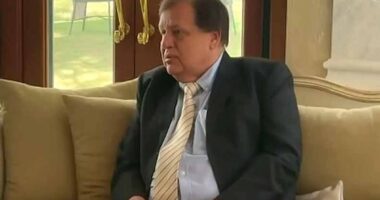 Princess Diana's 'Mr Wonderful'