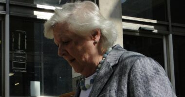 Princess Diana's longest serving Lady in Waiting banned from driving