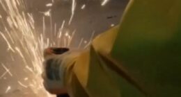 Pro-Palestinian protesters break into Israeli-owned drone factory in Leicester as police arrest six