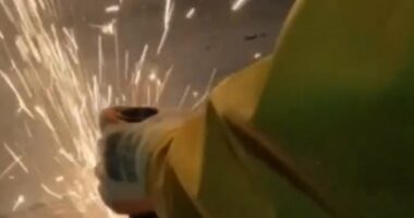 Pro-Palestinian protesters break into Israeli-owned drone factory in Leicester as police arrest six