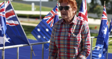 Hundreds gathered on Parliament's lawn draped in the flag with One Nation leader Pauline Hanson leading the rally.