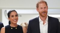 Public's verdict on Meghan and Harry using titles for commercial gain
