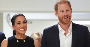 Public's verdict on Meghan and Harry using titles for commercial gain