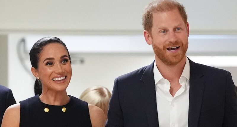 Public's verdict on Meghan and Harry using titles for commercial gain