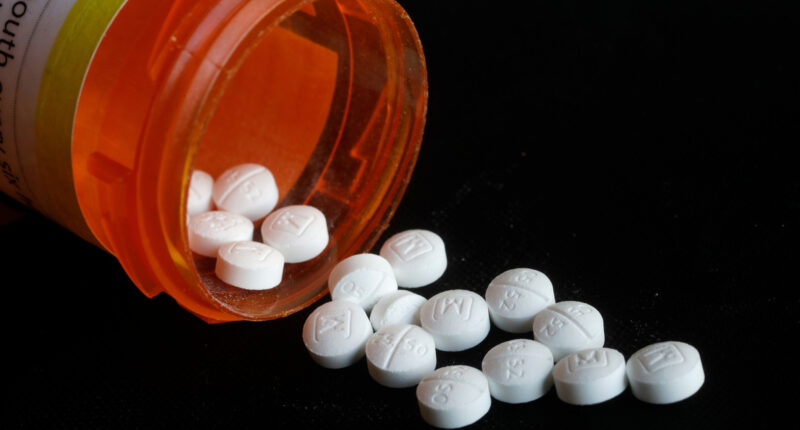 Purdue Pharma to be sentenced in criminal opioids case, allowing settlement money to flow