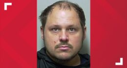 Putnam County man accused of abandoning newborn kittens to die in trash