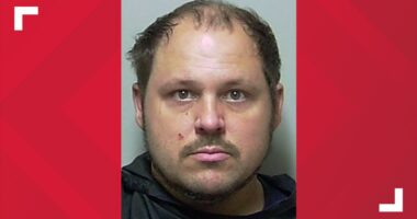 Putnam County man accused of abandoning newborn kittens to die in trash