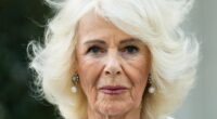 Queen Camilla's subtle messages in outfits on day one of state visit