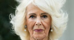 Queen Camilla's subtle messages in outfits on day one of state visit