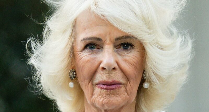 Queen Camilla's subtle messages in outfits on day one of state visit