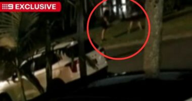 Queensland man's brave citizen's arrest captured on CCTV