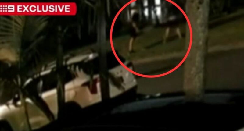 Queensland man's brave citizen's arrest captured on CCTV