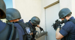 RI Rep: Use 'Police Power' to Ensure AR-15 Owners Dispose of Rifles