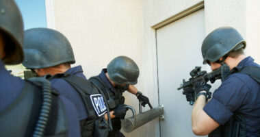 RI Rep: Use 'Police Power' to Ensure AR-15 Owners Dispose of Rifles