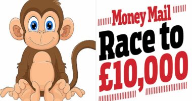 Race to £10,000: Our investing monkey swings into the lead thanks to stock that soared 1,000% in just two days