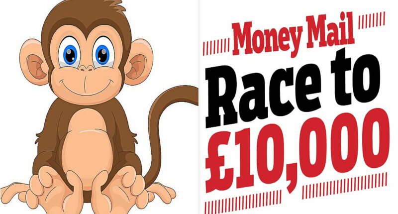 Race to £10,000: Our investing monkey swings into the lead thanks to stock that soared 1,000% in just two days