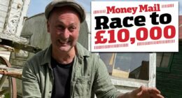 Race to £10,000: Profits from plant pots put our antiques dealer into the lead!