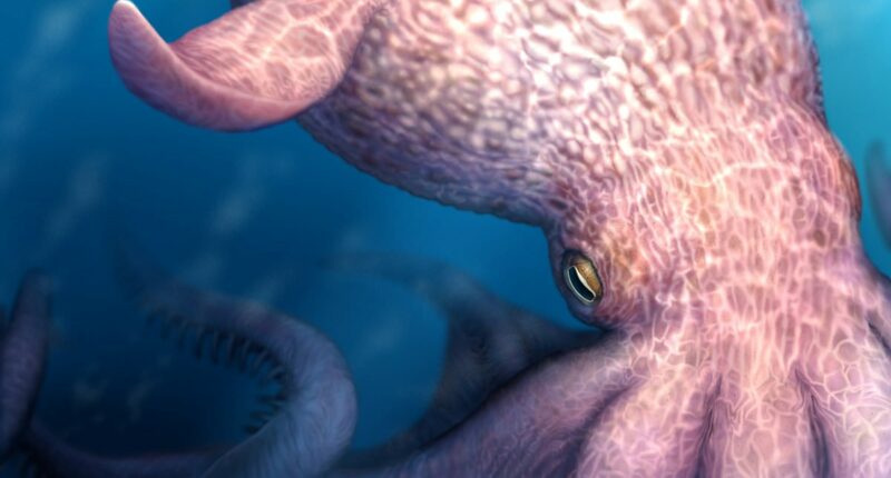 Real-life KRAKEN: Giant octopuses roamed oceans 72 million years ago