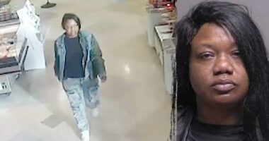 Repeat offender allegedly stabs pregnant mom in random grocery store parking lot attack 'with a steak knife'