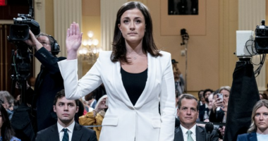 Report: DOJ Investigating J6 Committee 'Star Witness' for Perjury