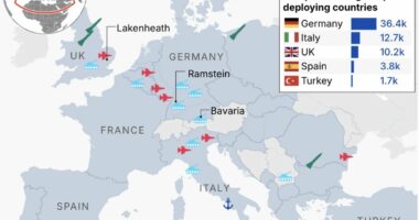 Report: Trump may take US troops from allies' bases