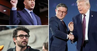 Republicans bet that Dems' toxic brand could keep them in the running for the 2026 midterms