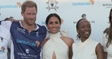 Revealed: The letter at the heart of Prince Harry's charity row