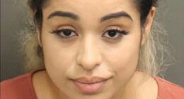 Rihanna's alleged house shooter appears in court for first