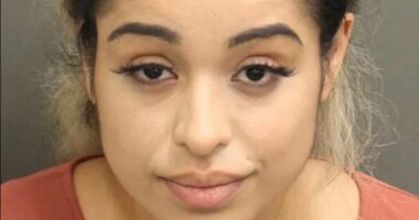 Rihanna's alleged house shooter appears in court for first