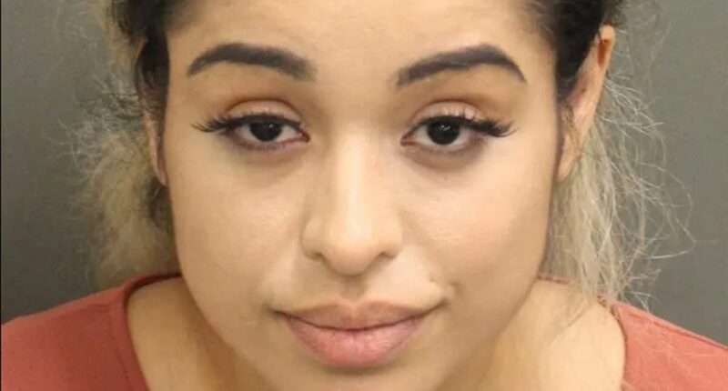 Rihanna's alleged house shooter appears in court for first