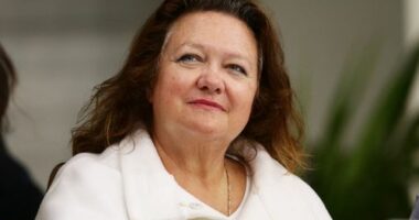 Gina Rinehart