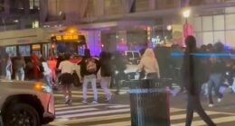 Ritzy DC neighborhood overrun by huge mob of feral teens AGAIN