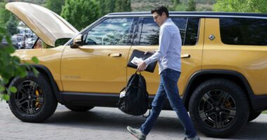Rivian's Stock Price Has Dropped 90%, So Of Course The CEO Just Got A Massive New Pay Package | Celebrity Net Worth