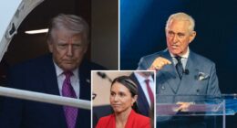 Roger Stone convinced Trump not to fire Tulsi Gabbard