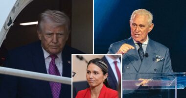 Roger Stone convinced Trump not to fire Tulsi Gabbard