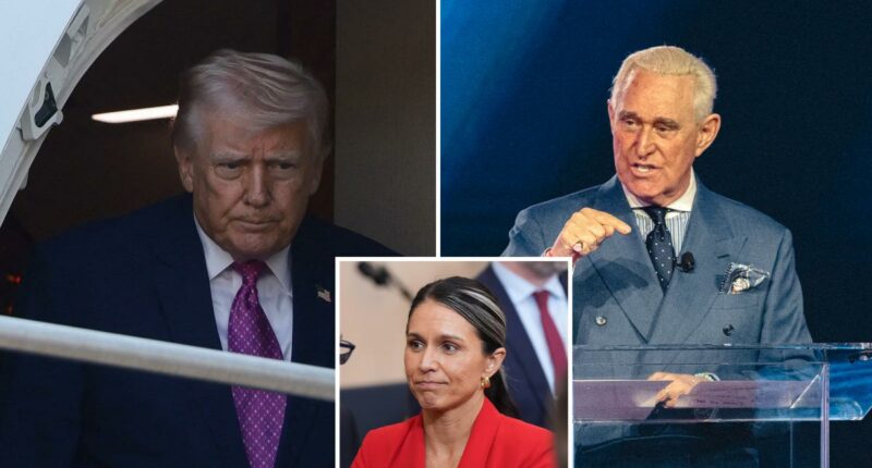Roger Stone convinced Trump not to fire Tulsi Gabbard