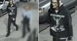 Rogue NYC driver on lam after ramming cop cars, striking officer: NYPD