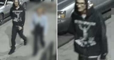 Rogue NYC driver on lam after ramming cop cars, striking officer: NYPD