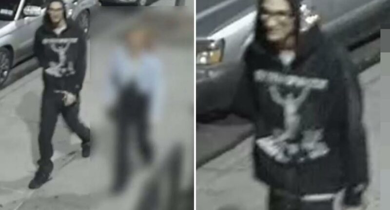 Rogue NYC driver on lam after ramming cop cars, striking officer: NYPD