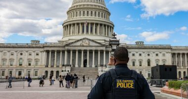 Romanian national learns fate for swatting US officials, including members of Congress, judges