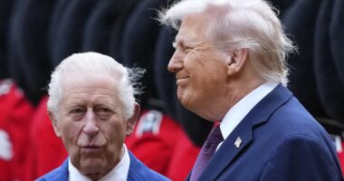 Royal aides rush to 'Trump-proof' King's US state visit