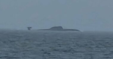 Russian submarine operation over Britain's undersea cables revealed