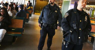 SI police 'spread thin' with less cops on the street than in the '60s -- and double the population