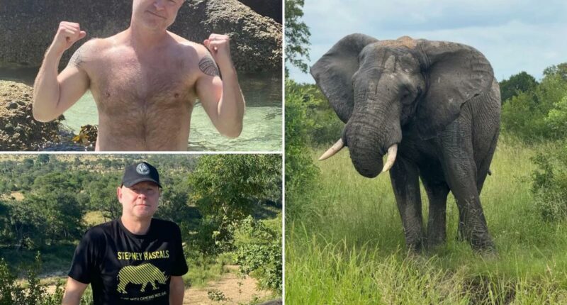 Safari-park owner who said he'd rather be killed by an elephant than shoot one is fatally tramped ... by an elephant