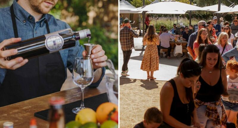 Scandal-hit Cornerstone Sonoma set for comeback after $10.6M rescue deal