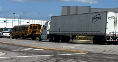 School bus crash on Zoo Parkway injures four children, DCPS says