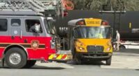 School bus driver steers vehicle packed with kids into path of train