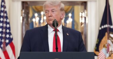 Second US airman from downed jet has been rescued from Iran - reports