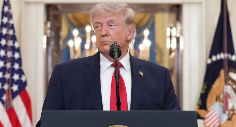 Second US airman from downed jet has been rescued from Iran - reports