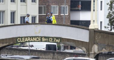 Second man charged after alleged offensive conduct on bridge where Bondi shooting occurred